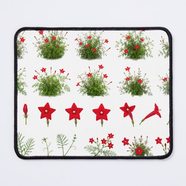 Item preview, Red Cypress Vine Cardinal Flower Botanical Set Aesthetic designed and sold by Rehnair.