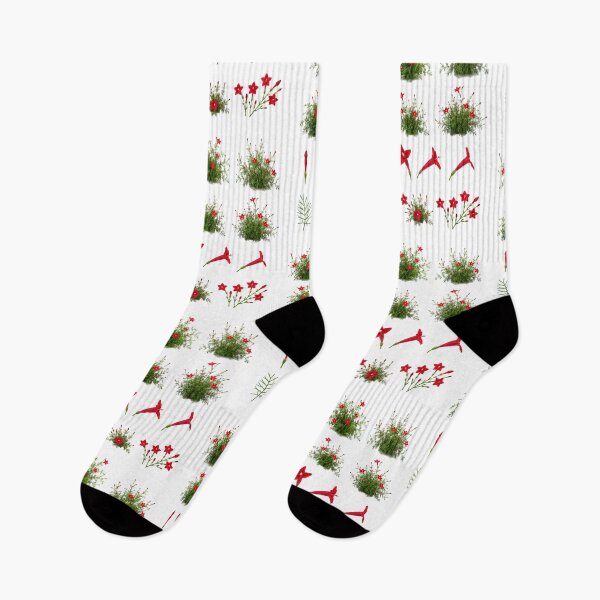 Item preview, Red Cypress Vine Cardinal Flower Botanical Set Aesthetic designed and sold by Rehnair.