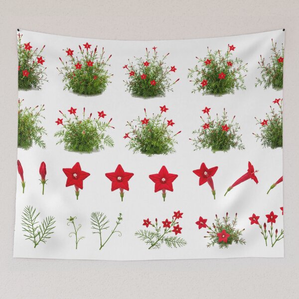 Item preview, Red Cypress Vine Cardinal Flower Botanical Set Aesthetic designed and sold by Rehnair.