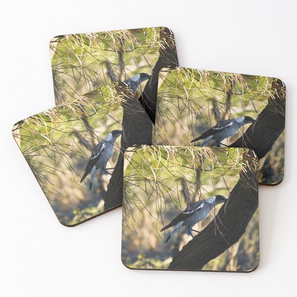 Item preview, Hidden Songbird Among the Pines designed and sold by wendyhattonphotography.