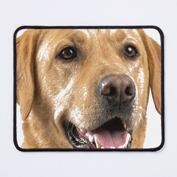 Item preview, Labrador Retriever Dog Head Emoji Classic T-Shirt designed and sold by gidget-gadget.