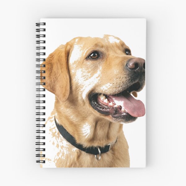 Item preview, Labrador Retriever Golden Cuteness Classic T-Shirt designed and sold by gidget-gadget.