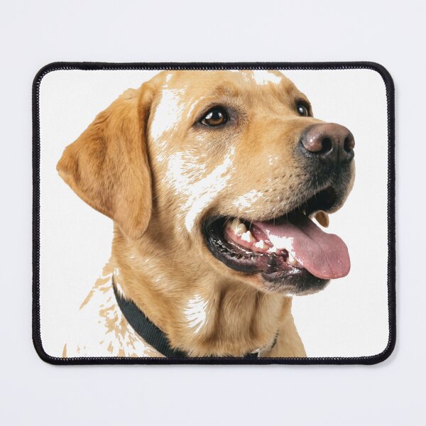 Item preview, Labrador Retriever Golden Cuteness Classic T-Shirt designed and sold by gidget-gadget.