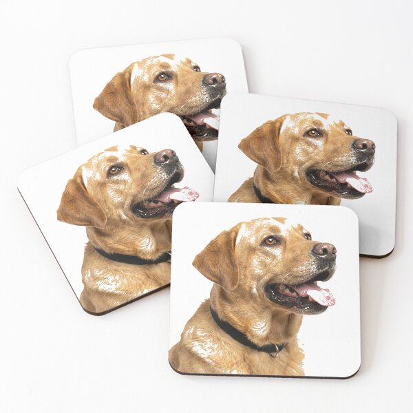 Item preview, Labrador retriever the dog Premium T-Shirt designed and sold by gidget-gadget.