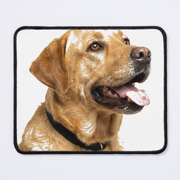 Item preview, Labrador retriever the dog Premium T-Shirt designed and sold by gidget-gadget.