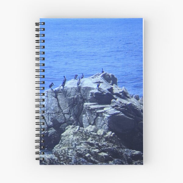 Item preview, Vintage Ocean Slide - Birds Resting on Sea Rock designed and sold by whimsiqueer.