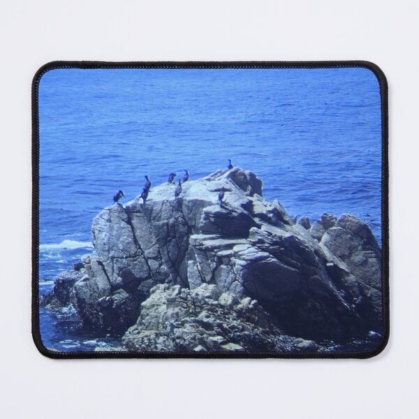 Item preview, Vintage Ocean Slide - Birds Resting on Sea Rock designed and sold by whimsiqueer.
