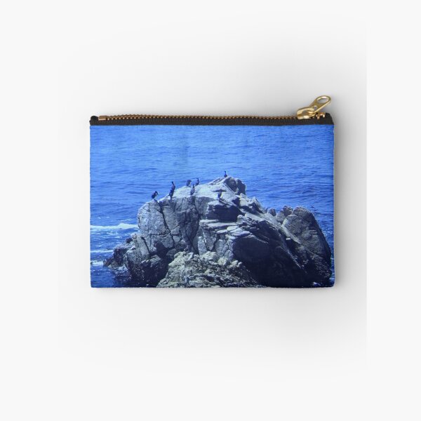 Item preview, Vintage Ocean Slide - Birds Resting on Sea Rock designed and sold by whimsiqueer.