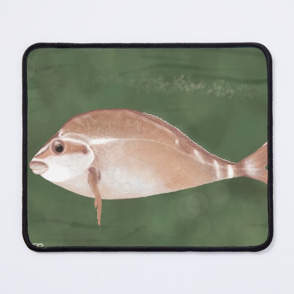 Item preview, Red Morwong designed and sold by Chilmelt.