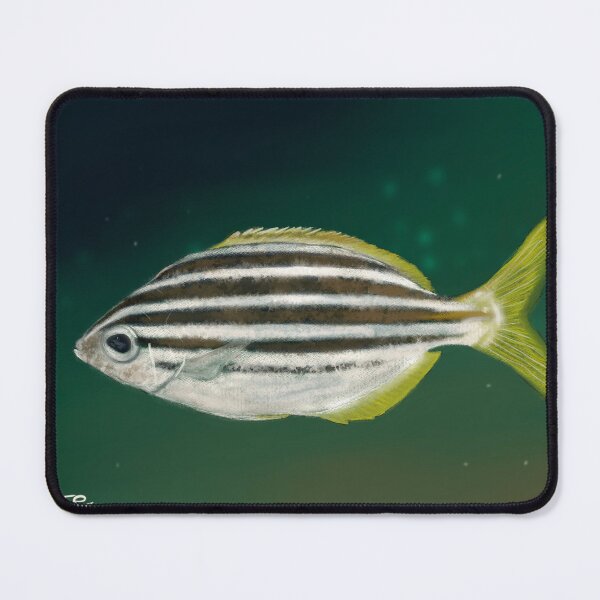 Item preview, Mado at Sydney Harbour designed and sold by Chilmelt.
