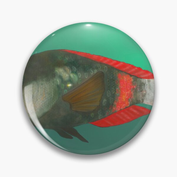 Item preview, Crimson band wrasse fish designed and sold by Chilmelt.