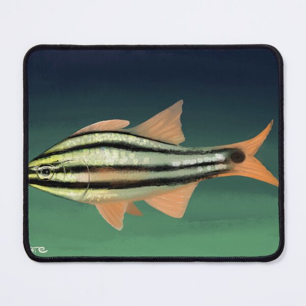 Item preview, Sydney cardinal fish designed and sold by Chilmelt.