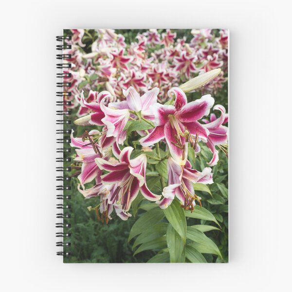Item preview, Vibrant Asiatic Lilies in Bloom designed and sold by Georgia Mizuleva.