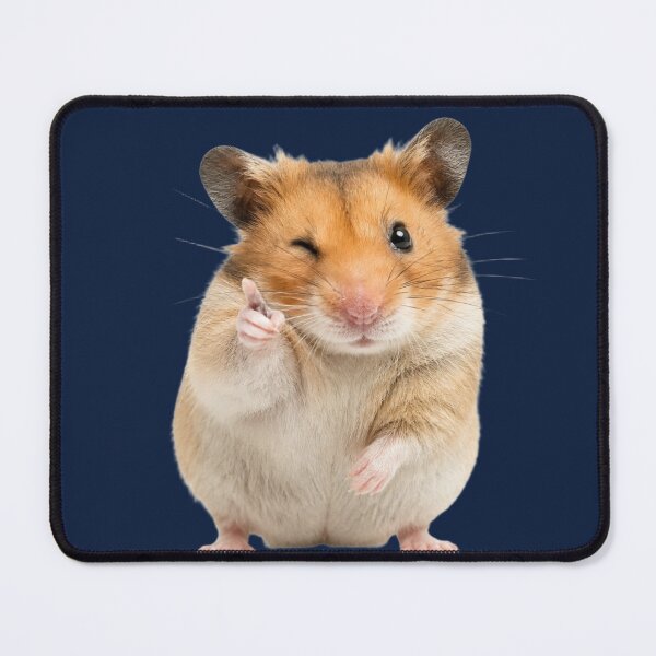 Item preview, Funny Winking Golden Hamster Motivation Illustration designed and sold by bosamji.