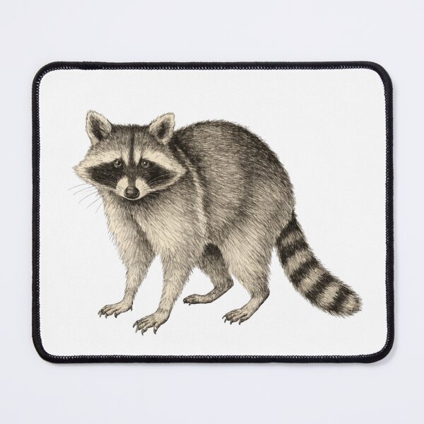 Item preview, Jimothy Raccoon - Viral Seattle Raccoon, Short Spine Syndrome Raccoon designed and sold by Charonde.