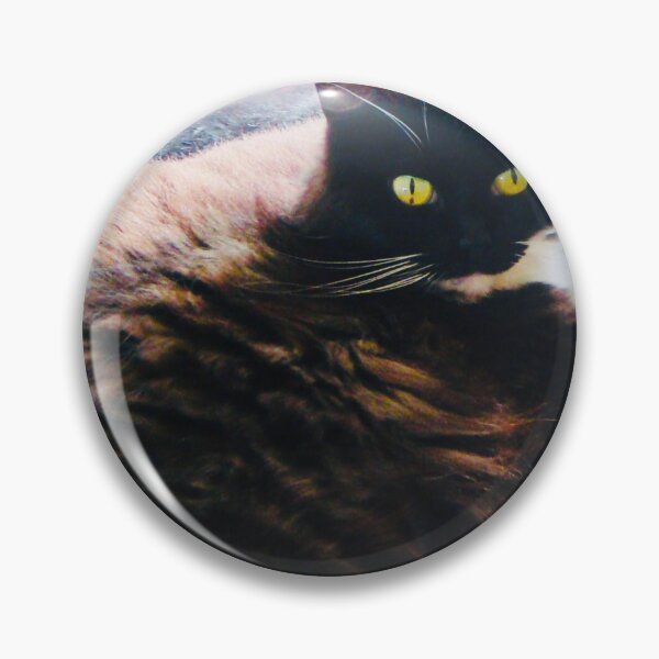 Artikelvorschau, Die flauschige Katze entworfen und verkauft von Jasbindar Singh.