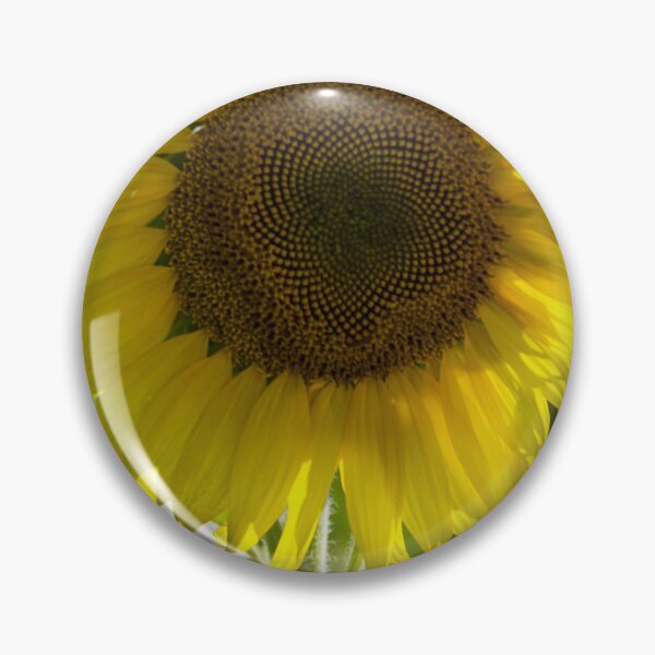 Item preview, Sunflower Radiant Solitude designed and sold by MoePhotography.