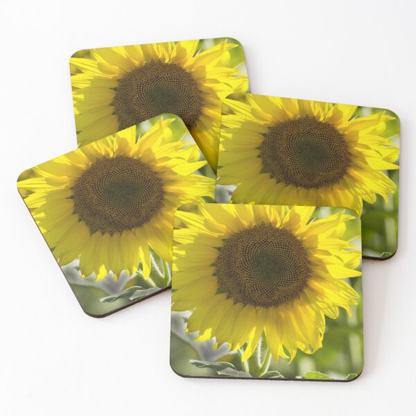 Item preview, Sunflower Radiant Solitude designed and sold by MoePhotography.