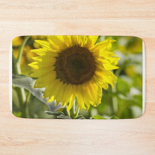 Item preview, Sunflower Radiant Solitude designed and sold by MoePhotography.