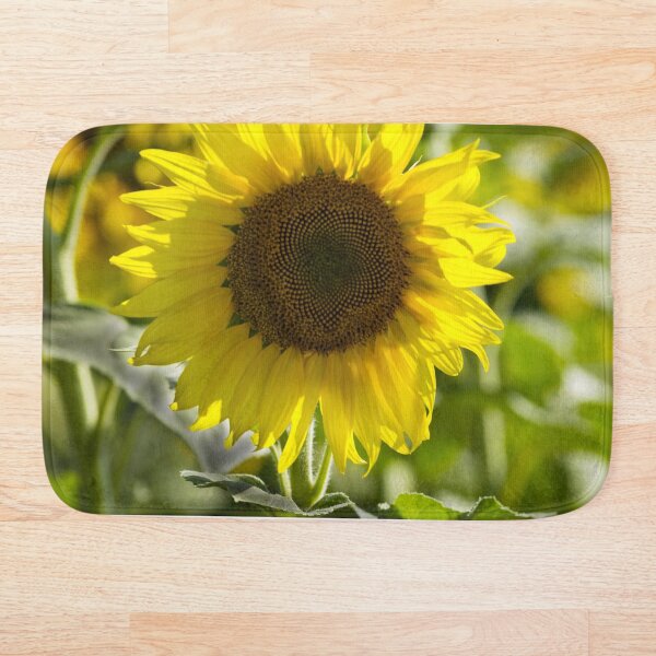 Artikelvorschau, Sonnenblume – Strahlende Einsamkeit entworfen und verkauft von MoePhotography.