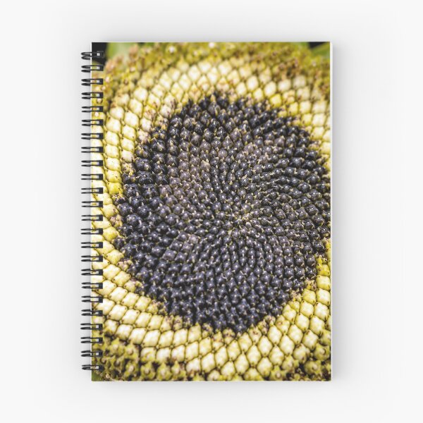 Item preview, Fibonacci's Garden designed and sold by cryolith7454.