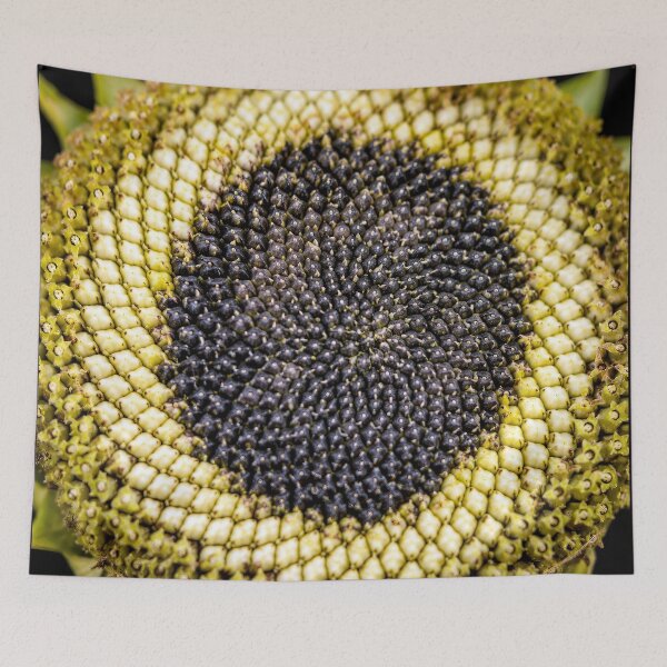 Item preview, Fibonacci's Garden designed and sold by cryolith7454.