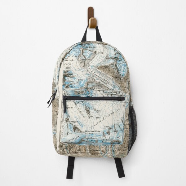 Item preview, Antique 1894 Aletsch Glacier map designed and sold by Anne Londez Studio.