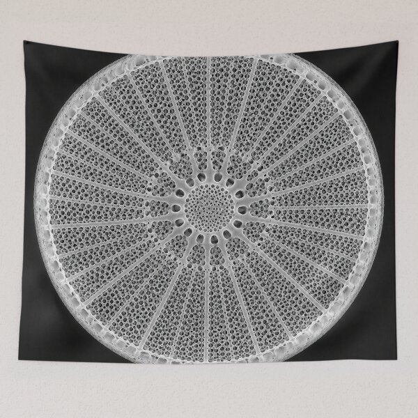 Item preview, The Glass Wheel designed and sold by cryolith7454.