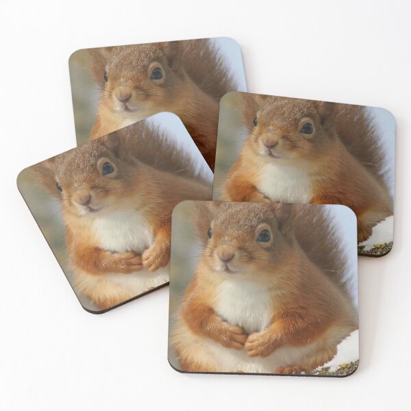 Item preview, Cute Red Squirrel in Winter Snow , Wildlife Nature Photography designed and sold by alcame-photo.