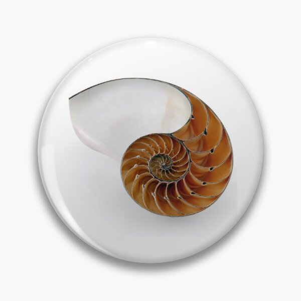 Item preview, The Golden Spiral designed and sold by cryolith7454.