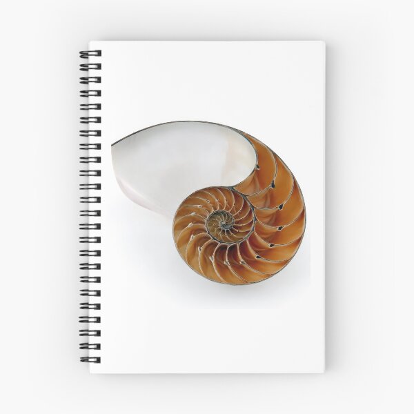 Item preview, The Golden Spiral designed and sold by cryolith7454.