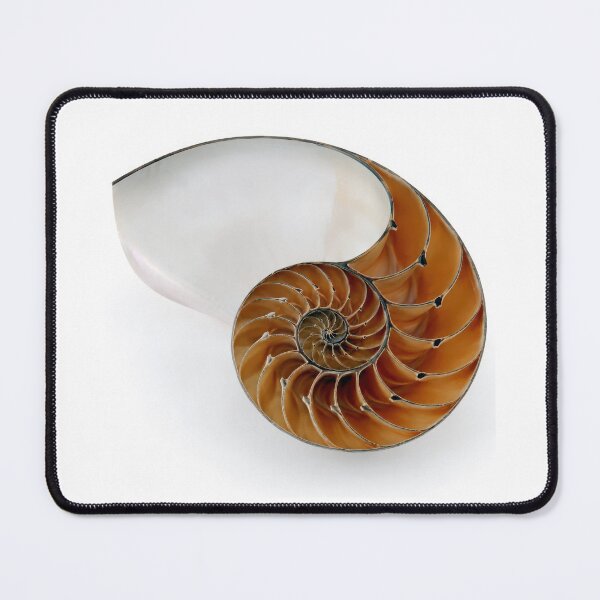 Item preview, The Golden Spiral designed and sold by cryolith7454.
