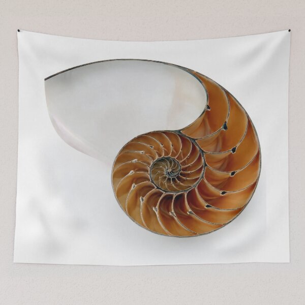 Item preview, The Golden Spiral designed and sold by cryolith7454.