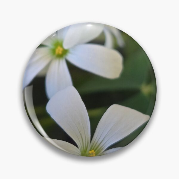 Item preview, Flowers on the sill designed and sold by AzHammock.