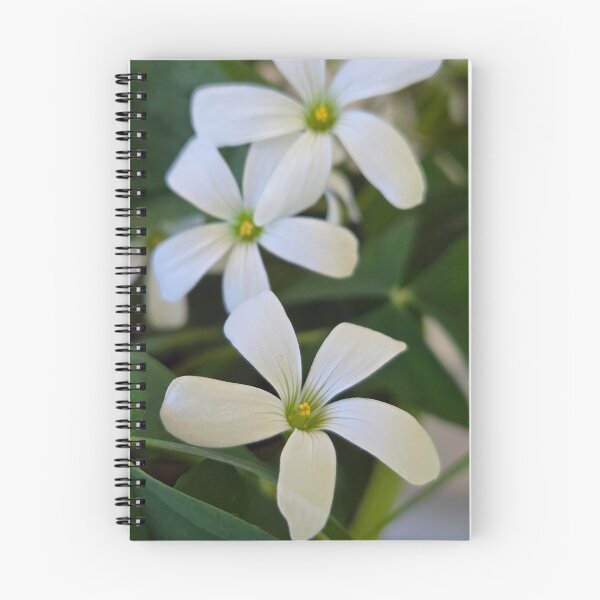 Item preview, Flowers on the sill designed and sold by AzHammock.