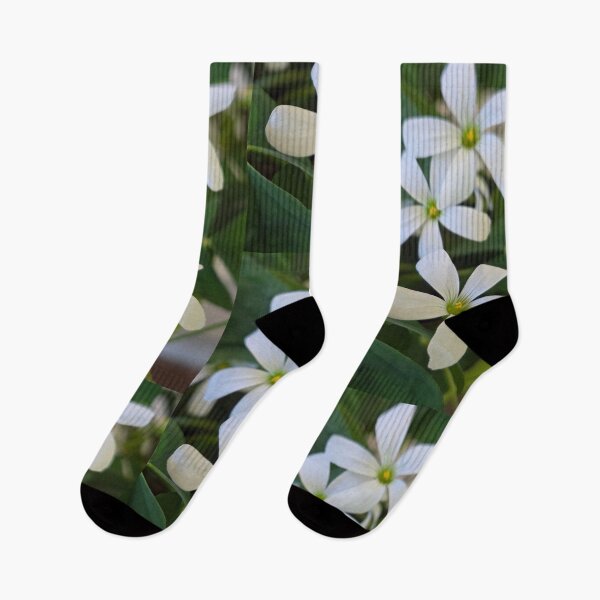 Item preview, Flowers on the sill designed and sold by AzHammock.