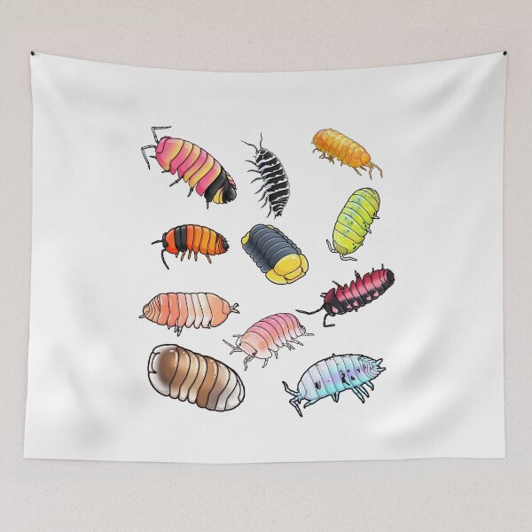 Item preview, Kawaii Colorful Isopods Collection - Cute Cubaris Woodlouse designed and sold by Neurospicy Trolls.