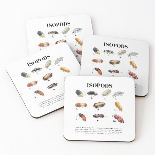 Item preview, Isopods Species Chart - Cubaris Rubber Ducky, Dairy Cow, Zebra Isopod Identification designed and sold by Neurospicy Trolls.