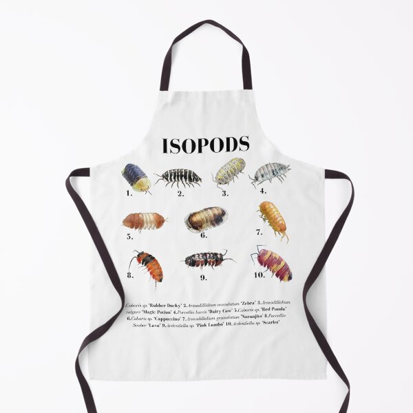 Item preview, Isopods Species Chart - Cubaris Rubber Ducky, Dairy Cow, Zebra Isopod Identification designed and sold by Neurospicy Trolls.