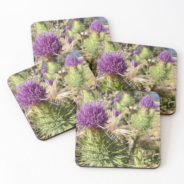 Item preview, Thistles designed and sold by Betsy Phillips.