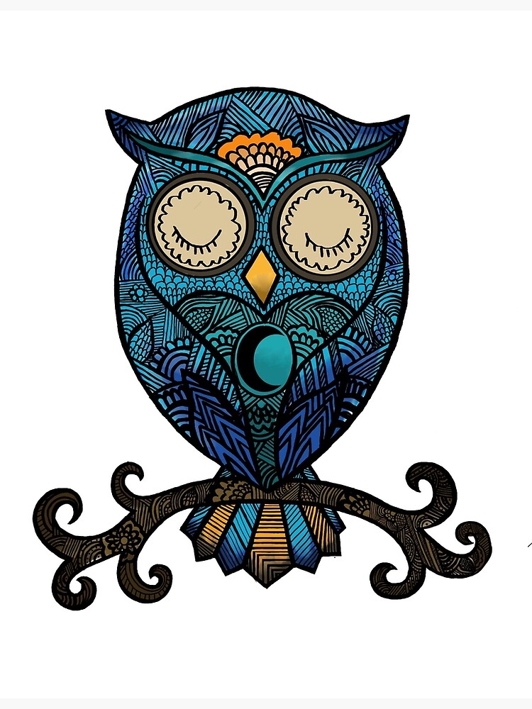 "Night Owl Color" Poster for Sale by JaymeJahns Redbubble