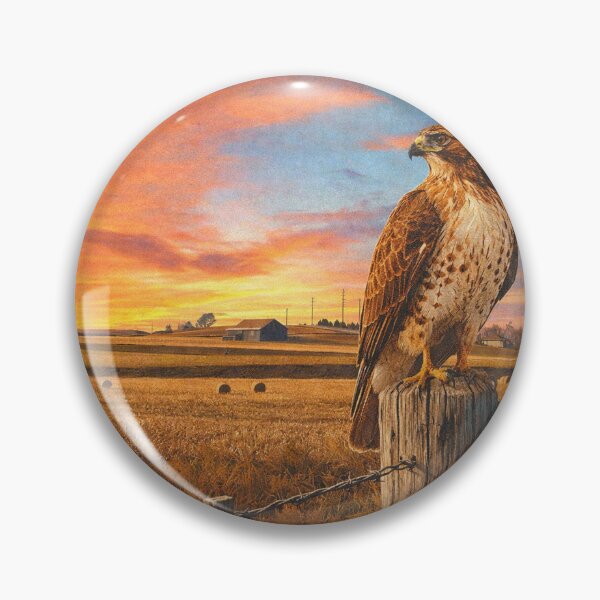 Item preview, Iowa designed and sold by BoKev.
