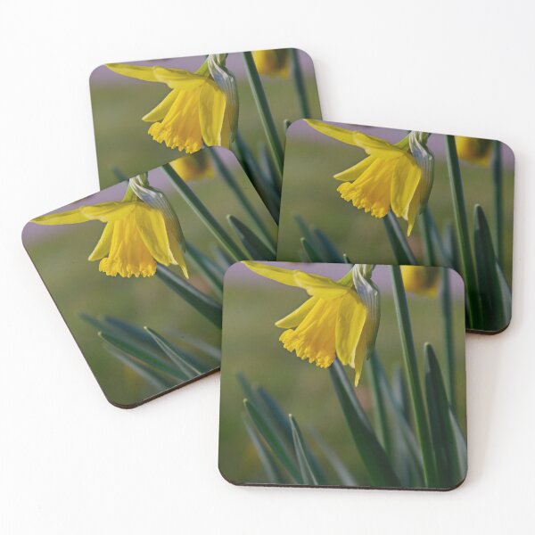Item preview, Yellow Narcissus Bloom – Spring Daffodil Macro designed and sold by ShotsbyDesiree.
