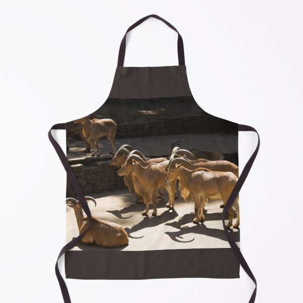 Item preview, Barbary sheep photograph designed and sold by Natimo-Studio.