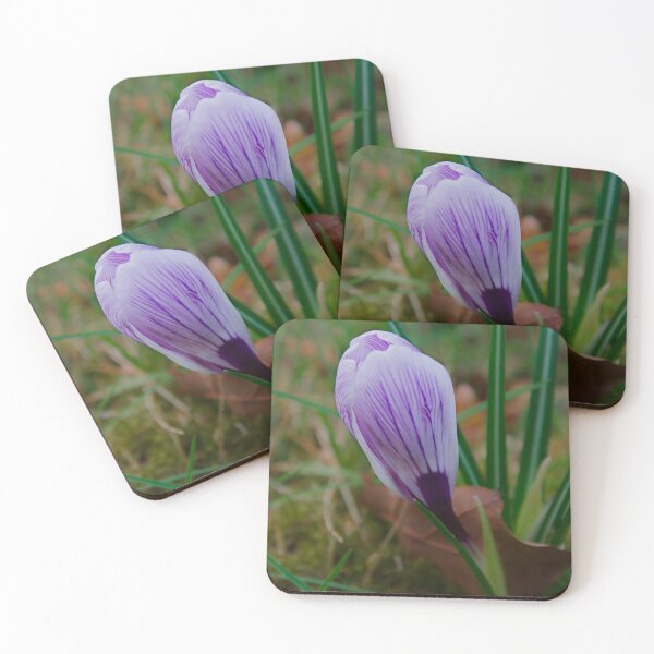 Item preview, Purple Striped Crocus Bud designed and sold by ShotsbyDesiree.