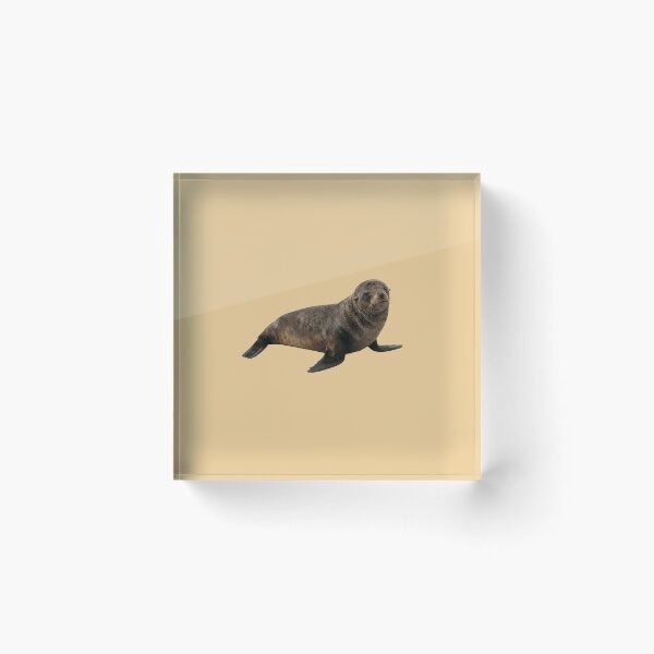 Item preview, Galápagos fur seal designed and sold by ArunDandiboina.