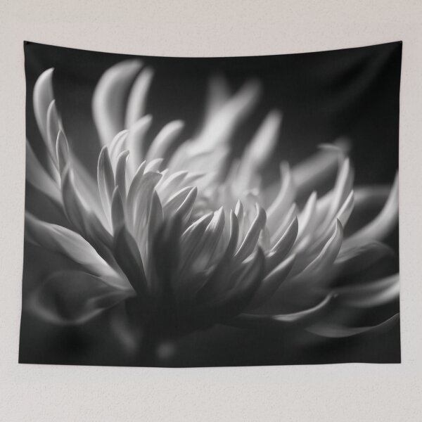 Item preview, White chrysanthemum still life micro close up portrait black and white floral photographic fine art print designed and sold by Astrid Arkhangelsky.