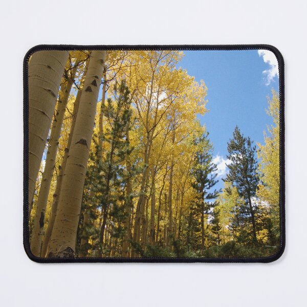 Artikelvorschau, Herbst in Colorado entworfen und verkauft von The Better Days Company.