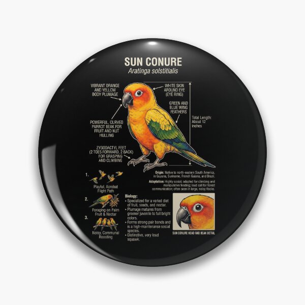 Item preview, Sun Conure Scientific Anatomy Ornithology Parrot Lover designed and sold by dian-rody-crest.