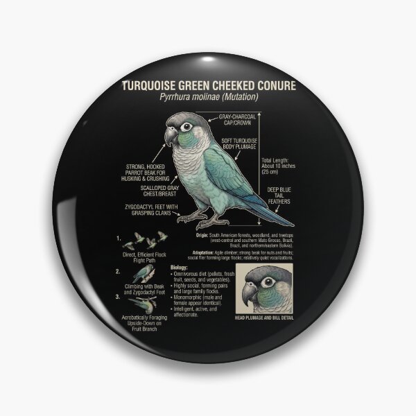 Item preview, Turquoise Green Cheeked Conure Scientific Anatomy Ornithology Parrot Lover designed and sold by dian-rody-crest.